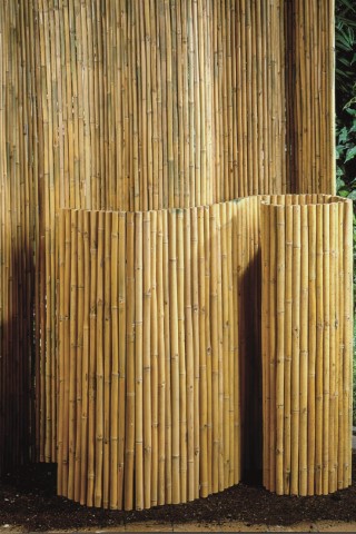 bamboerol